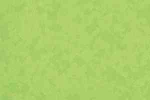 Линолеум Gerflor Taralay Premium Osmoz 4527 Bamboo фото  | FLOORDEALER
